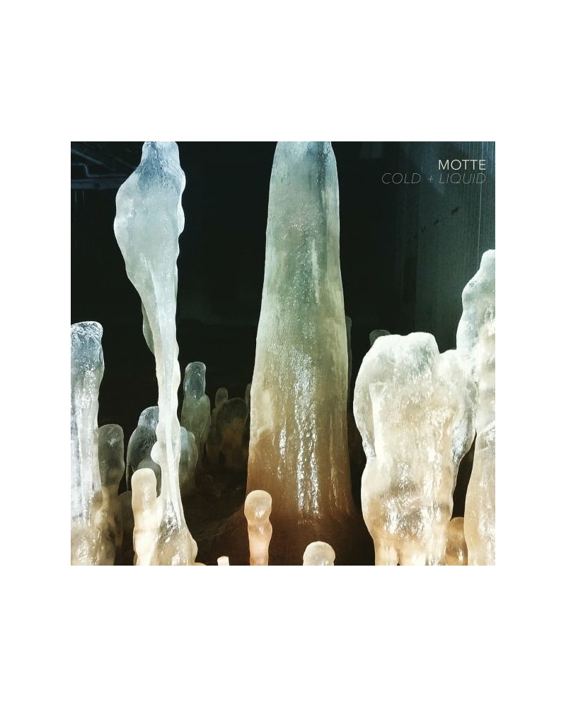 Motte Cold & Liquid vinyl record $1.60 Vinyl