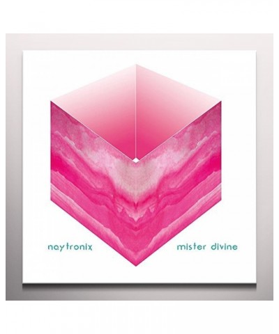 Naytronix Mister Divine Vinyl Record $6.96 Vinyl